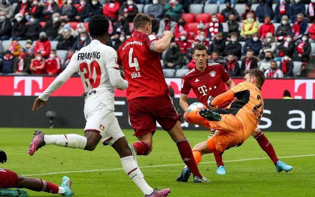 1646554229246022944.jpg 1646554229246022944.jpg